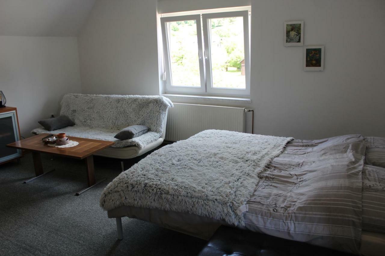 Zirovnica R&G Apartment מראה חיצוני תמונה