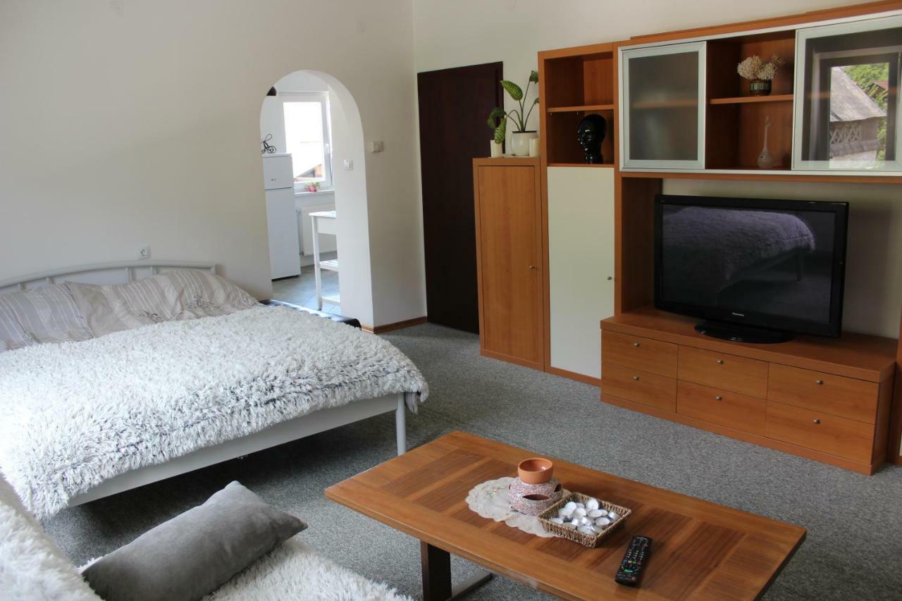 Zirovnica R&G Apartment מראה חיצוני תמונה